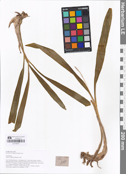 LE 01048751