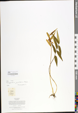 LE 01048927