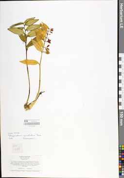 LE 01048928