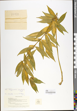 LE 01048942