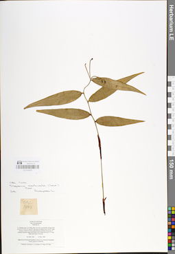 LE 01048978