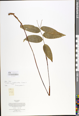 LE 01048979