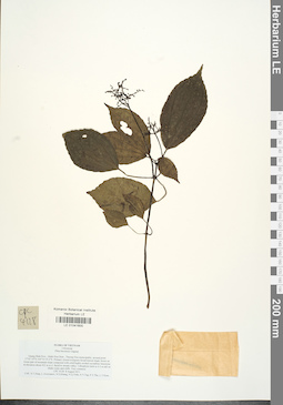 LE 01041600