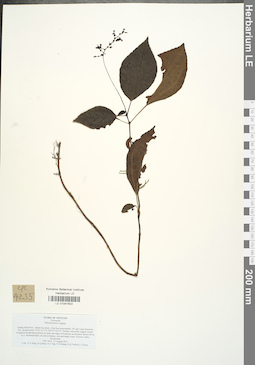 LE 01041602