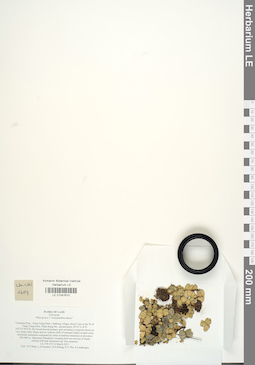 LE 01041610