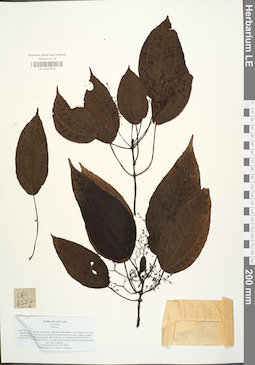 LE 01041612