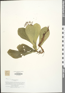 LE 01041623