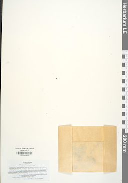 LE 01041625