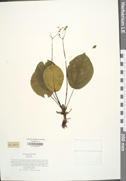 LE 01041637