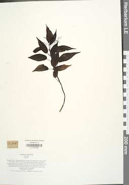 LE 01041639