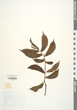 LE 01041660