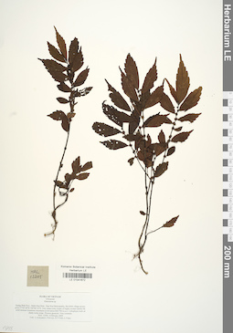 LE 01041672