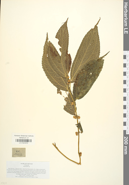 LE 01041673