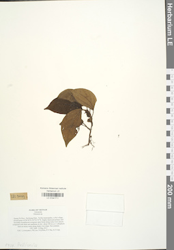 LE 01041711