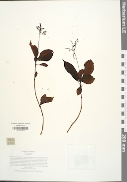 LE 01041713