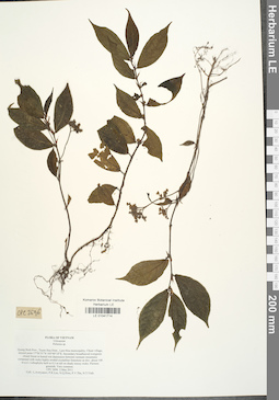 LE 01041714