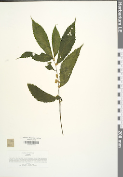 LE 01041716