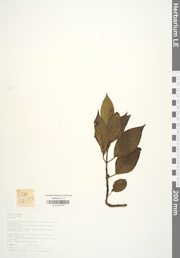 LE 01041719
