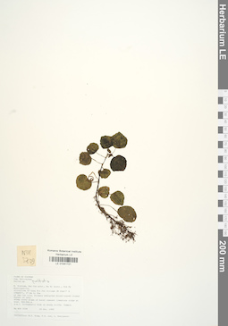 LE 01041721