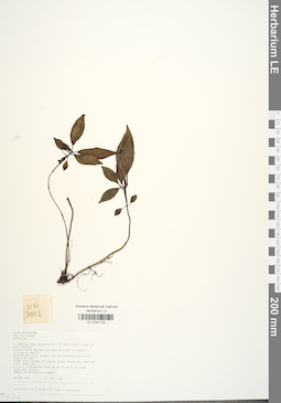 LE 01041722