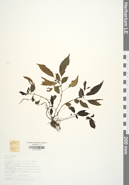 LE 01041723