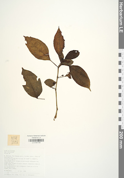 LE 01041725
