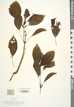 LE 01041760