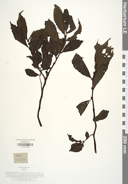 LE 01041766