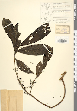 LE 01041792