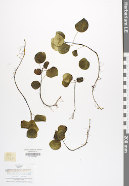 LE 01041862