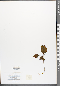 LE 01041895