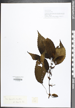 LE 01041953