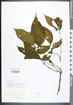 LE 01041957
