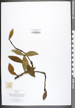 LE 01041969