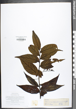 LE 01041970