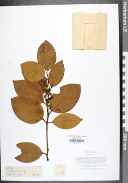 LE 01041971