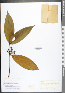 LE 01041972