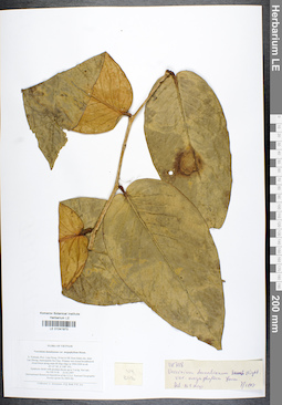 LE 01041973