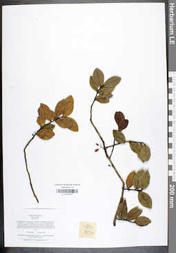 LE 01041977