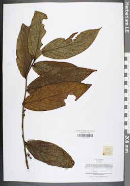 LE 01041978
