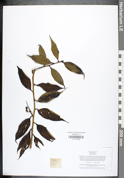 LE 01041982