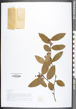 LE 01041987