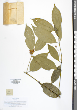 LE 01041995