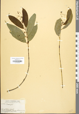 LE 01041997