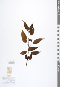 LE 01042061