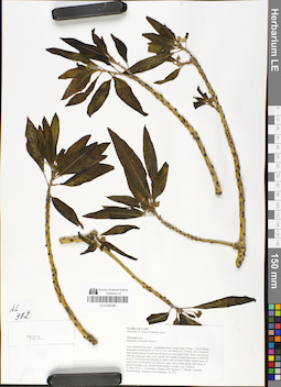 LE 01049189