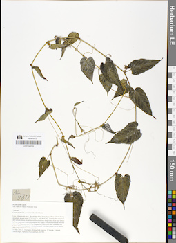 LE 01049224