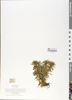 LE 01048405