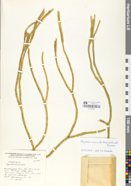 LE 01048418