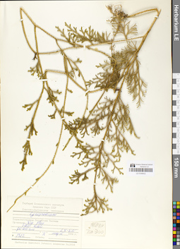 LE 01048422